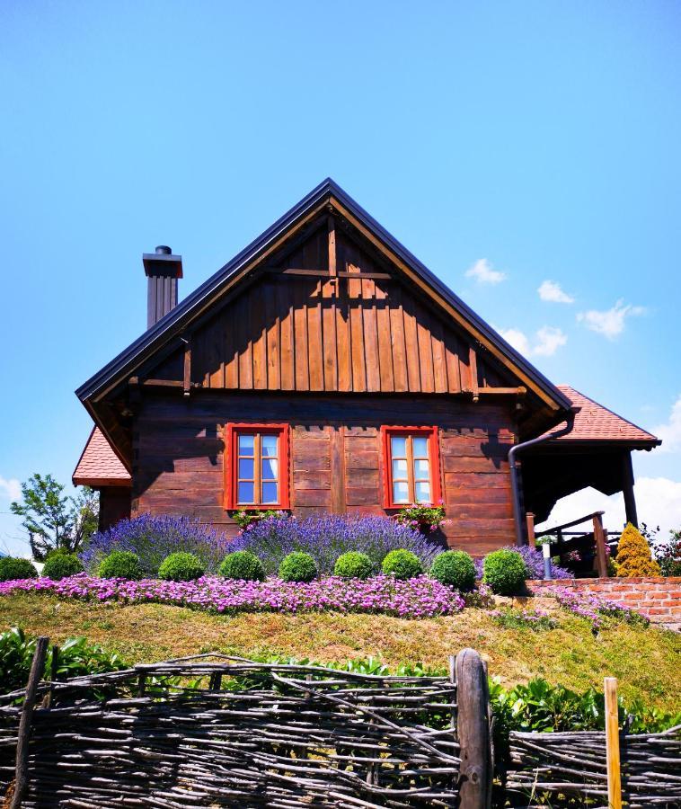 Villa Kuca Za Odmor Stara Hiza Selnica Esterno foto