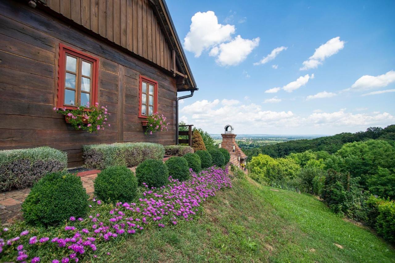 Villa Kuca Za Odmor Stara Hiza Selnica Esterno foto
